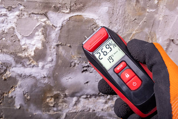 Mold Removal Process in India Hook, SC
