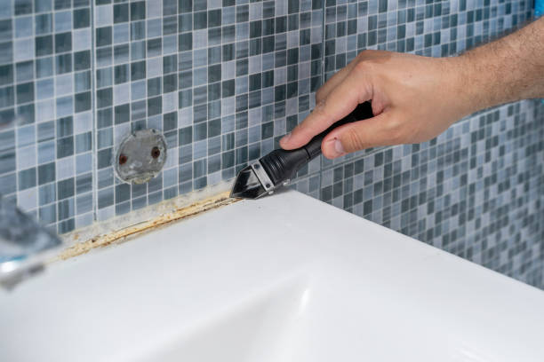 Best Mold Testing  in India Hook, SC